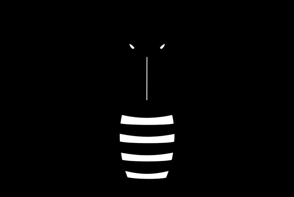 Honey-Bee-PNG-Image