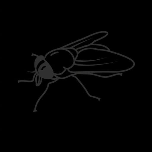 Housefly-PNG-Clipart