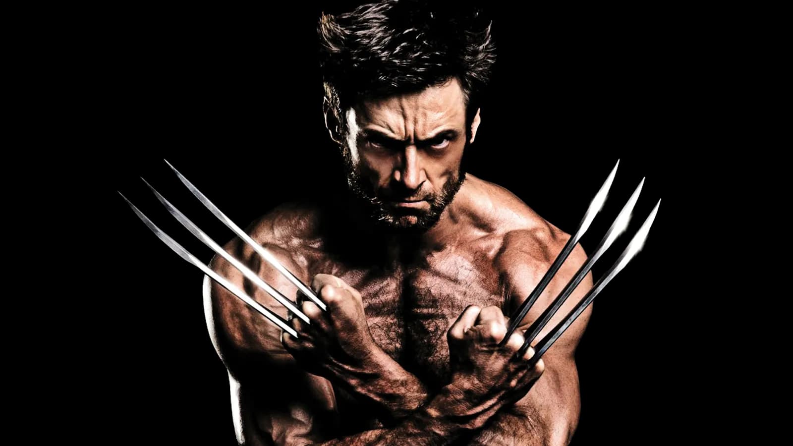 Hugh Jackman, Performer, Musical, Actor, Broadway PNG