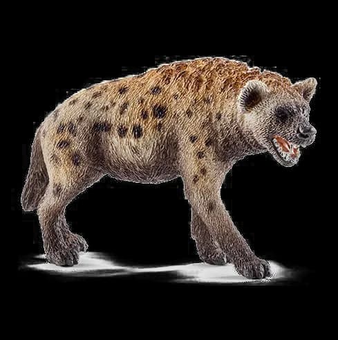 Hyena, Savanna, Scavenger, Social, Predator PNG