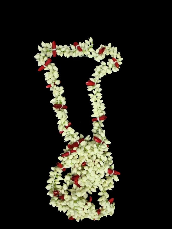 Jasmine-Garland-PNG-Clipart