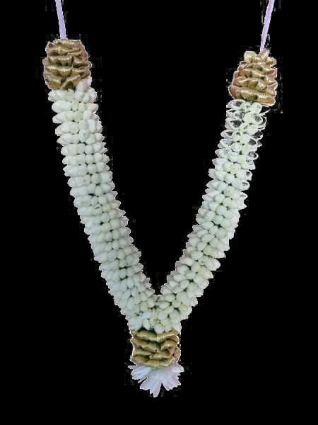 Jasmine-Garland-Transparent-Background