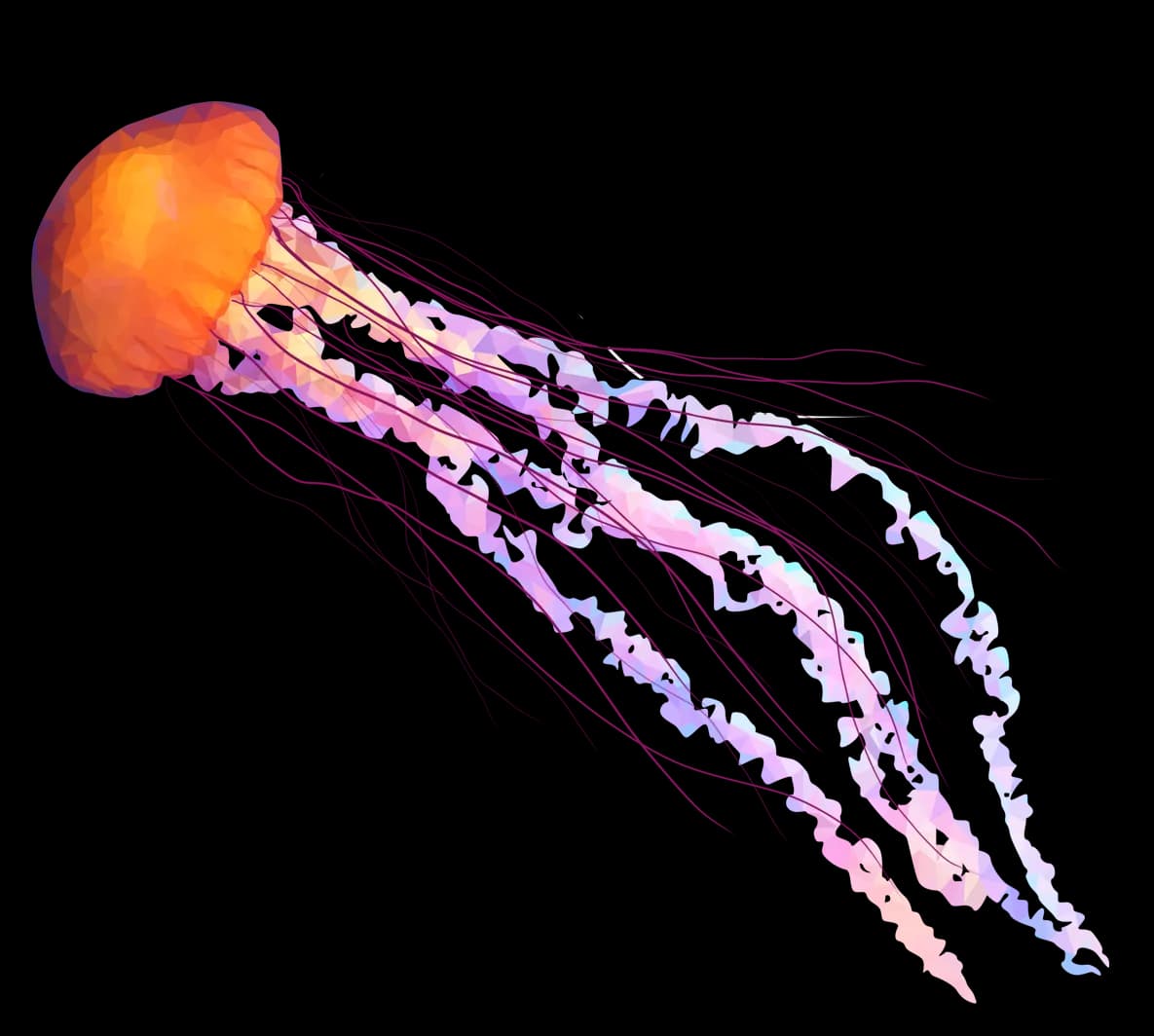 Jellyfish, Invertebrates, Creatures, Bioluminescent, Tentacles PNG