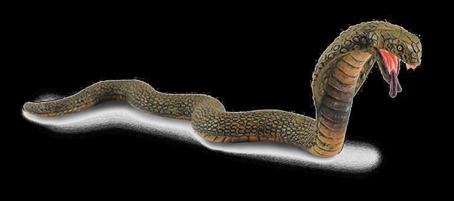 King-Cobra-PNG-Image