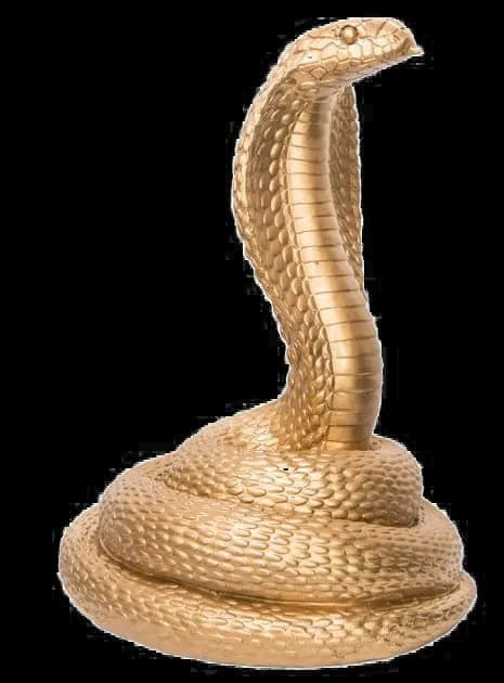 King-Cobra-PNG-Photo