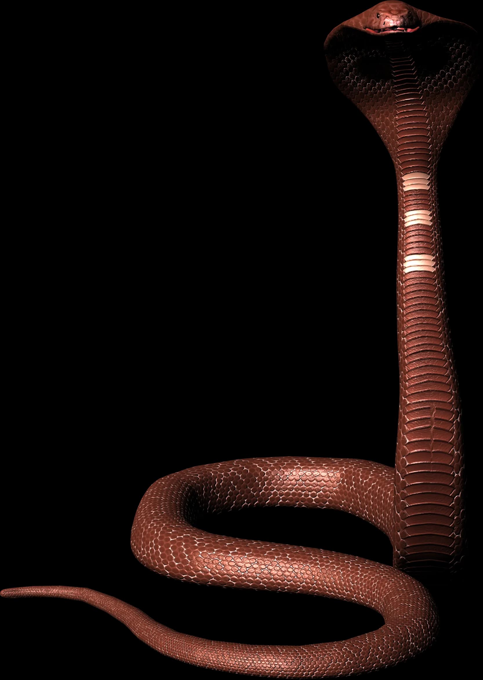 King-Cobra-PNG-Photos