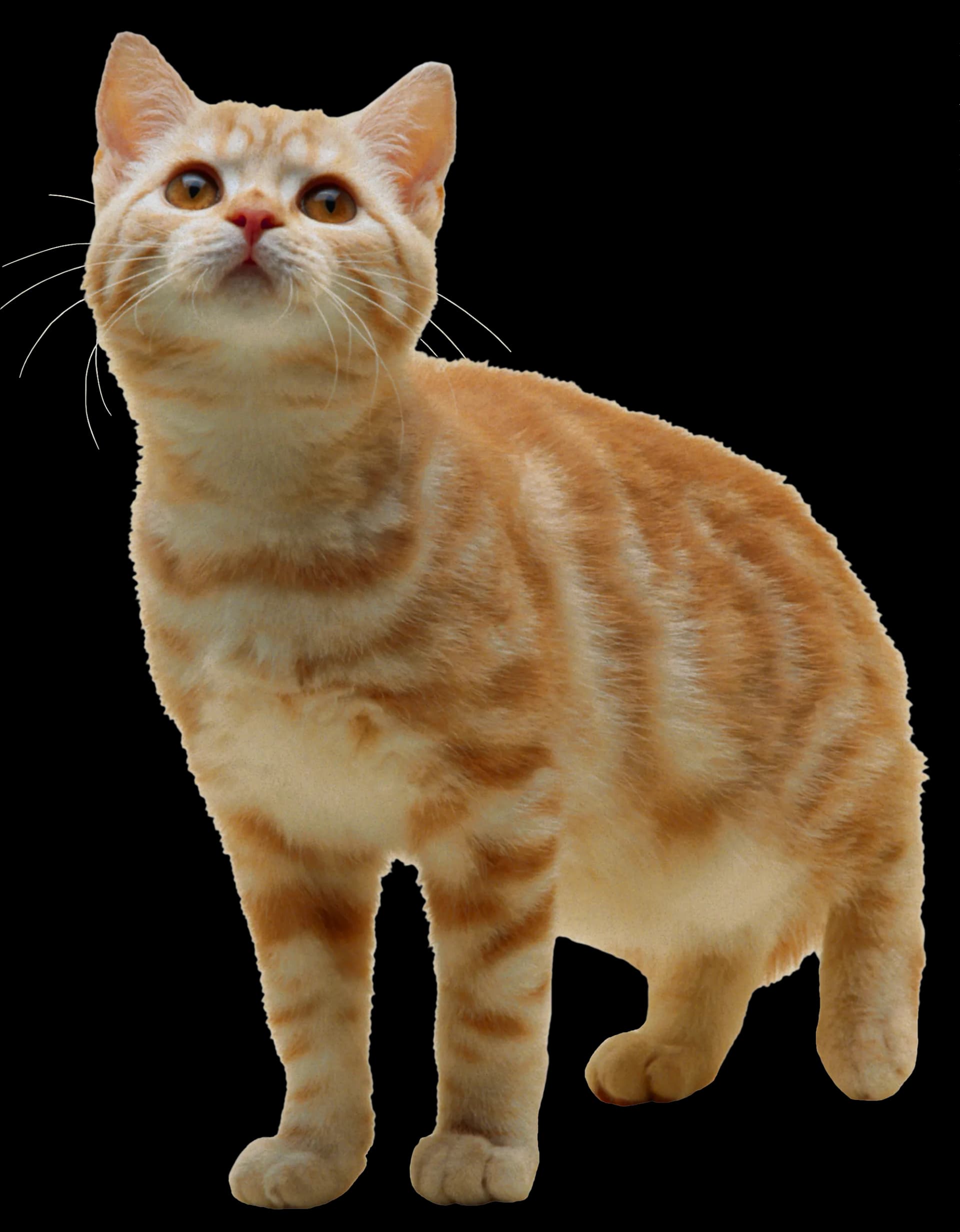 Kittens, Mischievous, Playful, Fluffy, Cuddly PNG