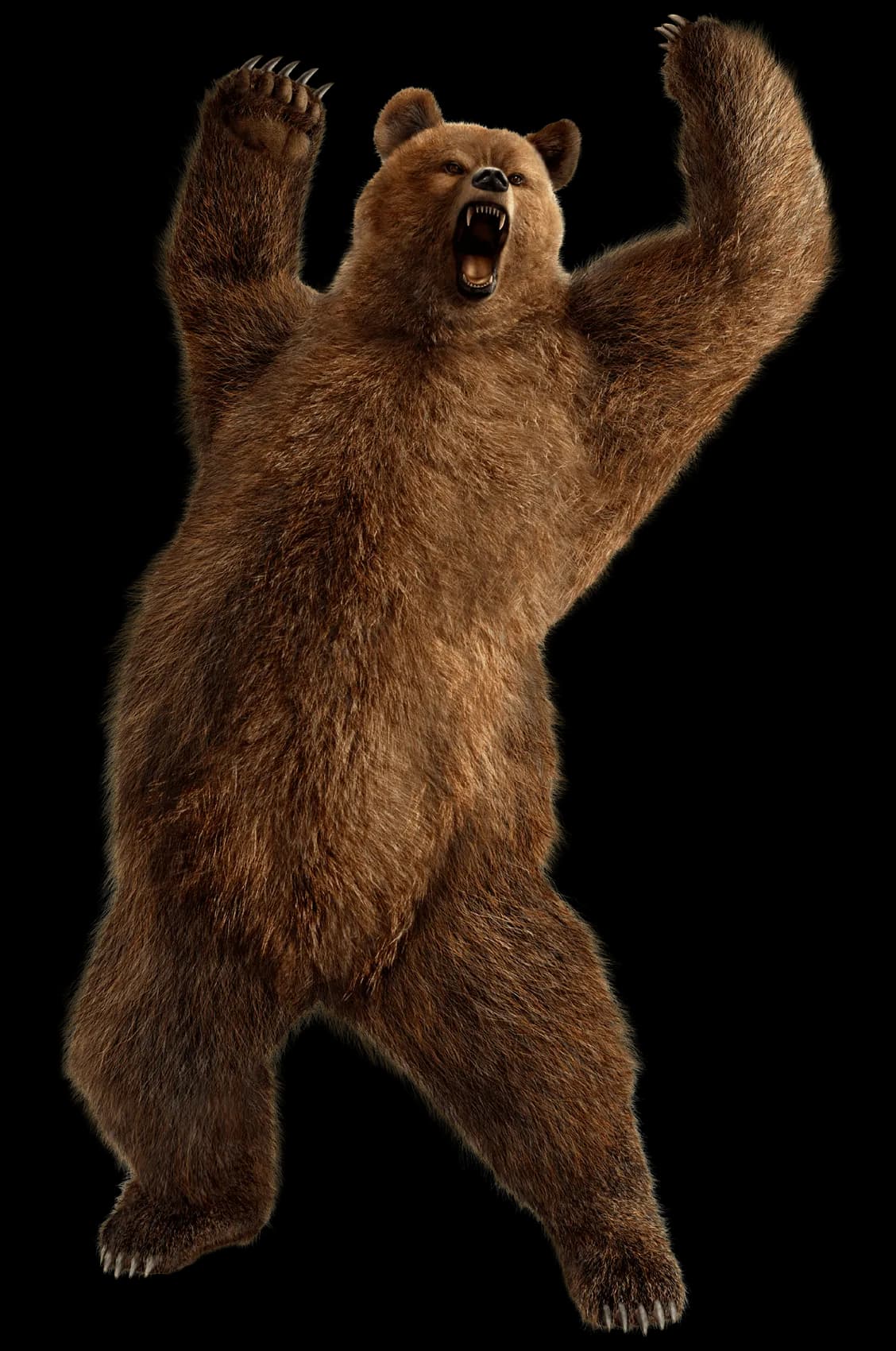 Kodiak Brown Bear, Alaskan Wildlife, Coastal Habitat, Large Predator, Endangered Species PNG