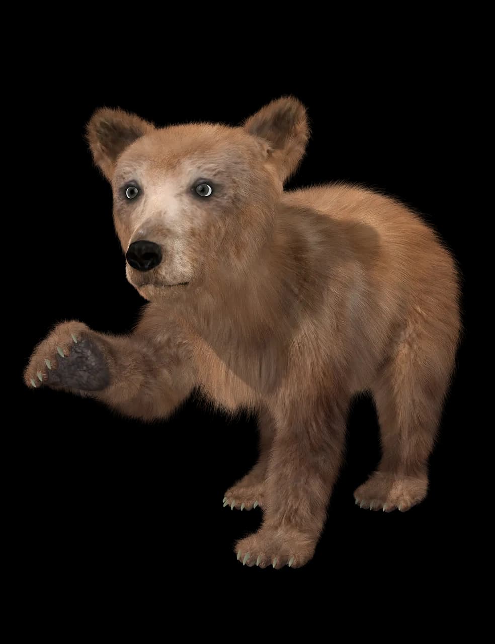 Kodiak-Brown-Bear-PNG-Photo