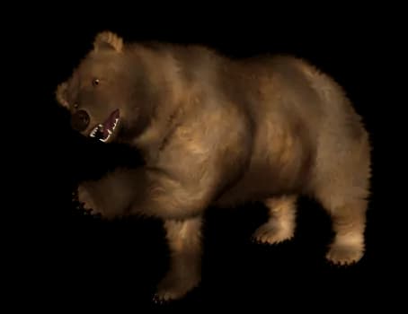 Kodiak-Brown-Bear-PNG-Pic