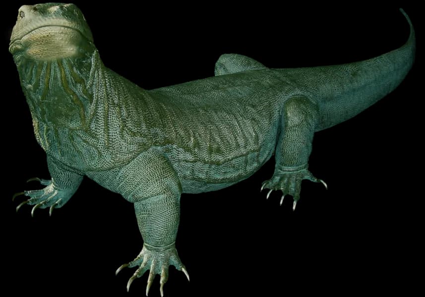 Komodo-Dragon-PNG-Clipart