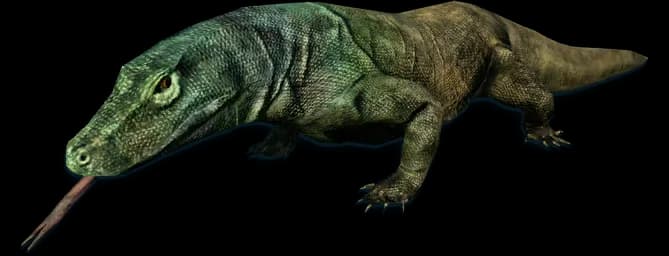 Komodo-Dragon-Transparent-PNG