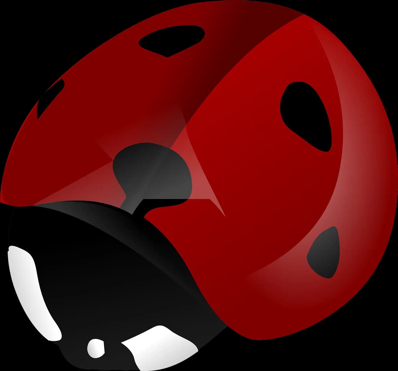 Ladybird Beetle, Biodiversity, Insect, Beneficial, Garden PNG