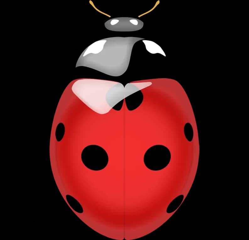 Ladybird-Beetle-PNG-Image