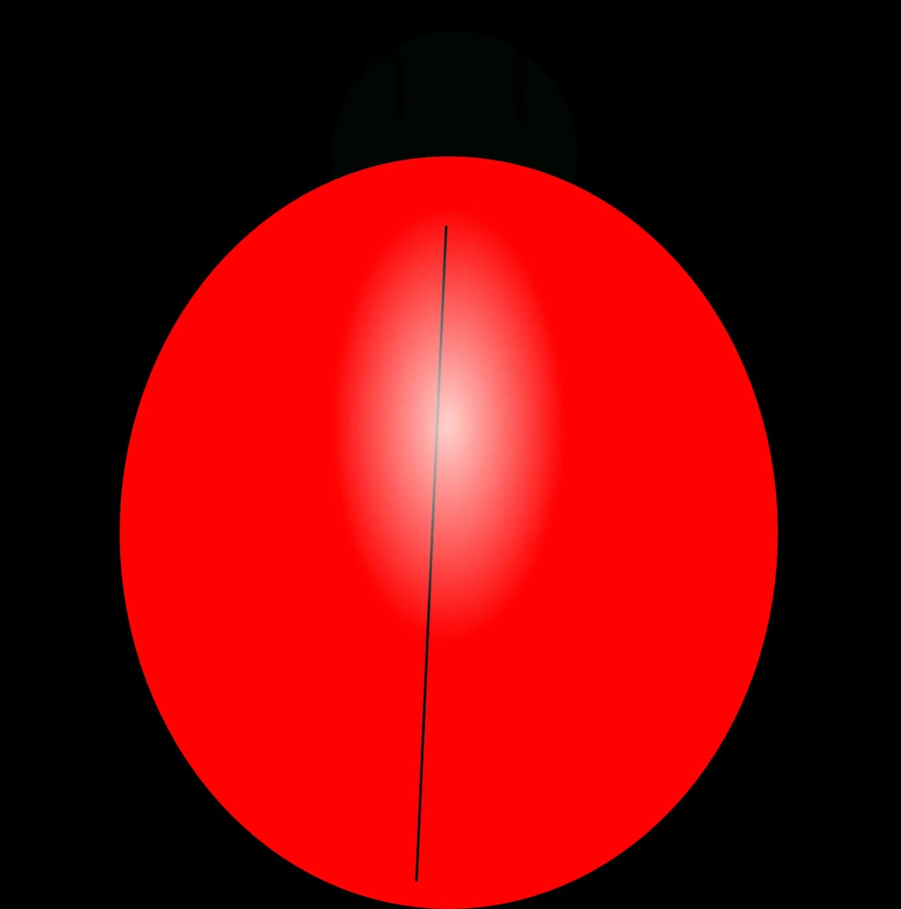 Ladybird Beetle, Pest Control, Insect, Natural Predators, Biodiversity PNG