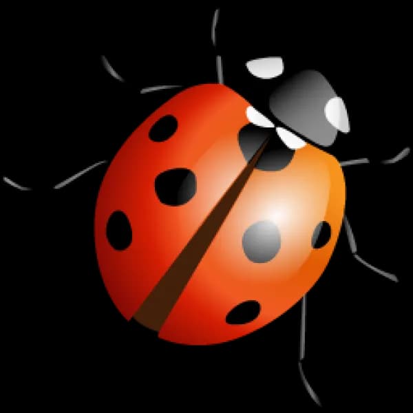 Ladybird Beetle, Aphid Eater, Natural Predator, Garden Beneficial, Entomology Interest PNG