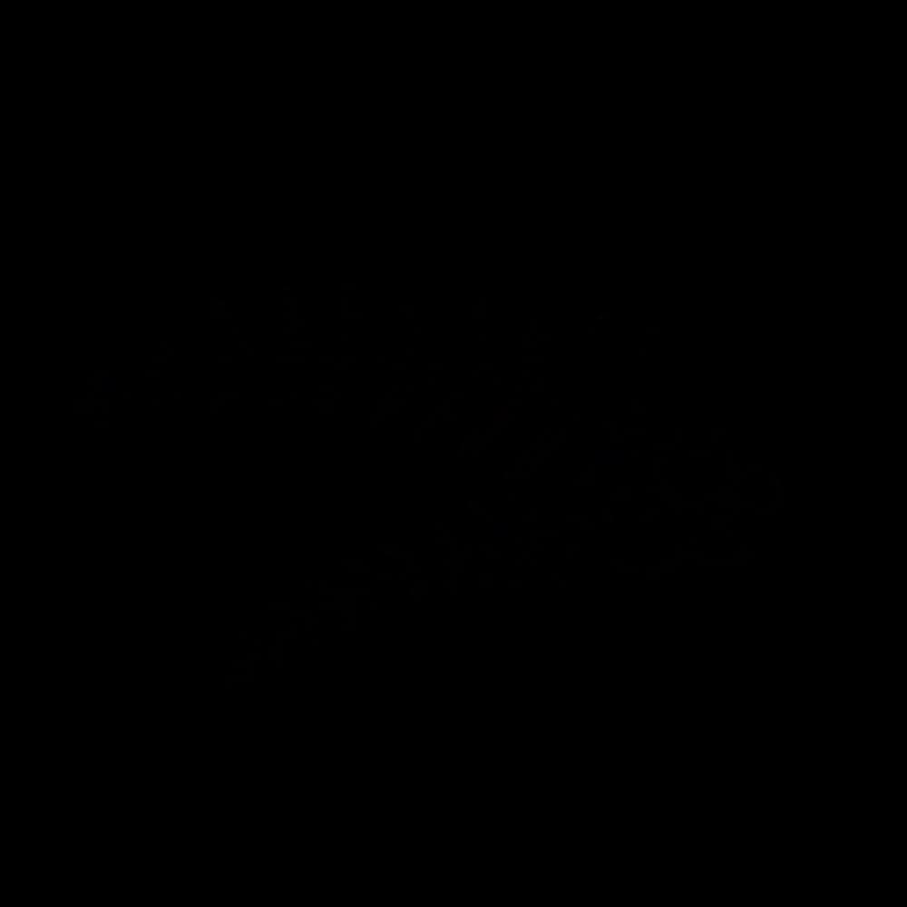 Leaves-Border-PNG-Photo