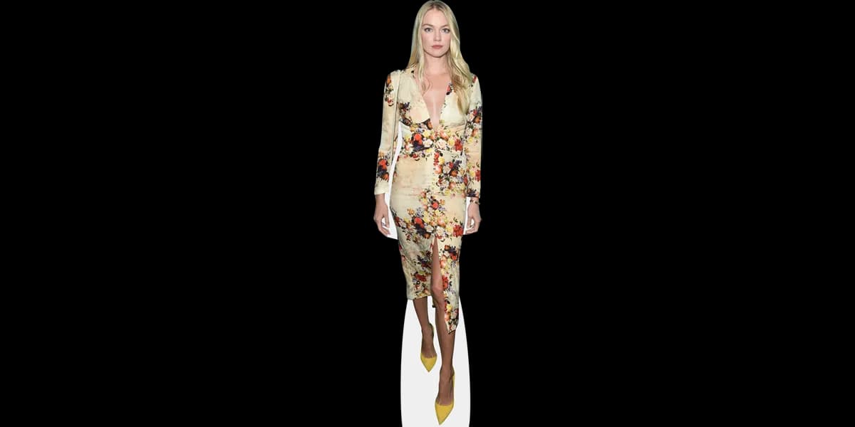 Lindsay Ellingson, Fashion, Runway, Influencer, Model PNG