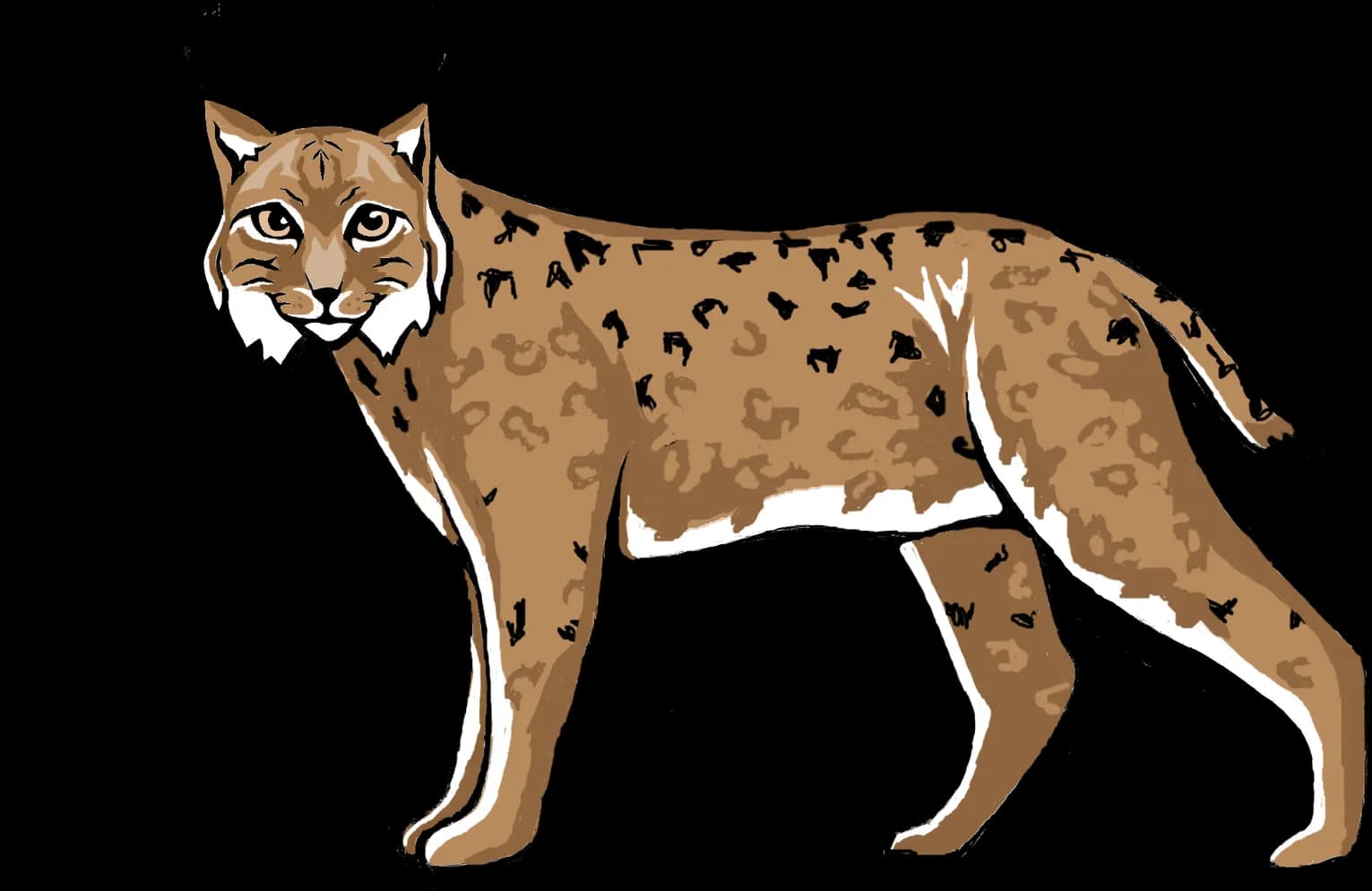 Lynxe, Wildlife, Exotic, Nature, Mammal PNG