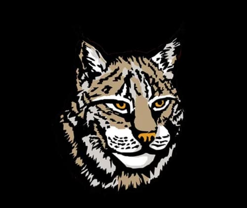 Lynxe, Predator, Mammal, Feline, Nature PNG