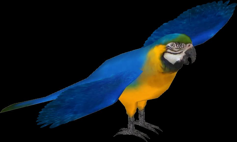 Macaw-Download-PNG-Image