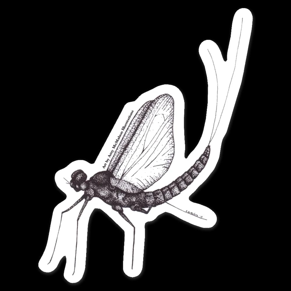 Mayfly-PNG-File