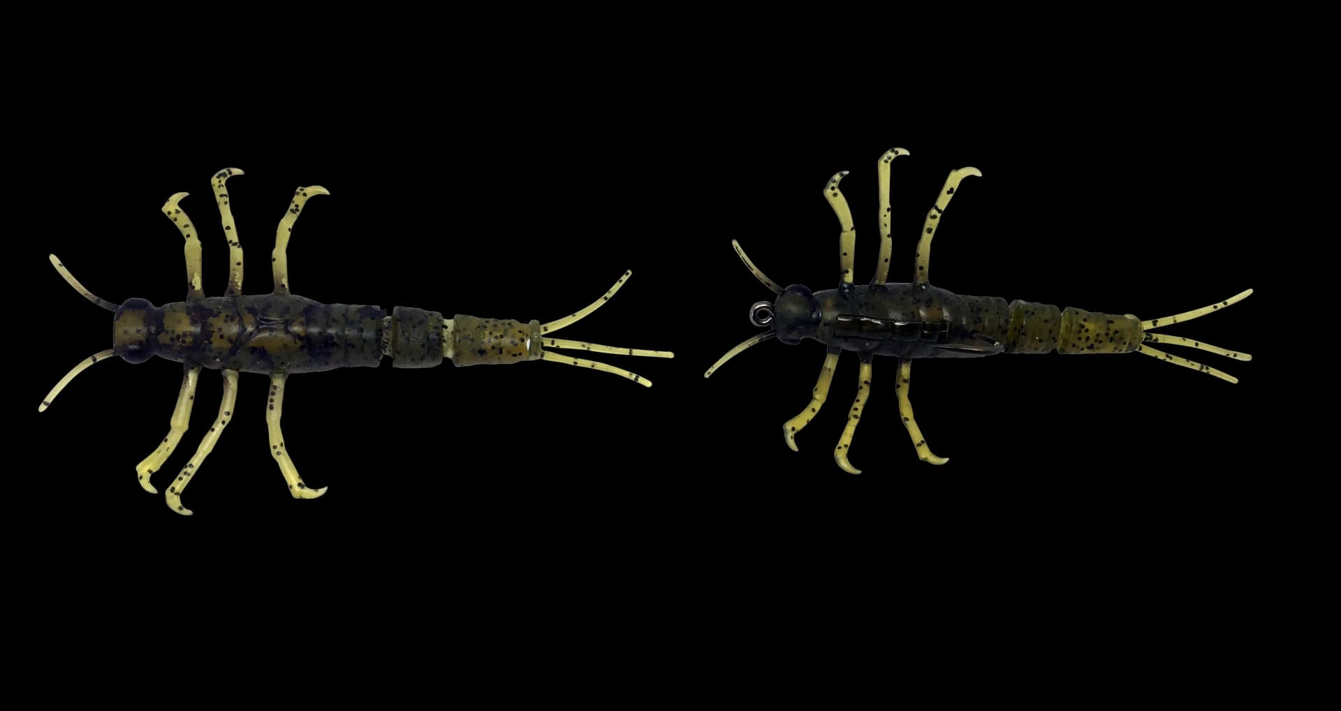 Mayfly, Aquatic, Lifecycle, Insect, Short-Lived PNG