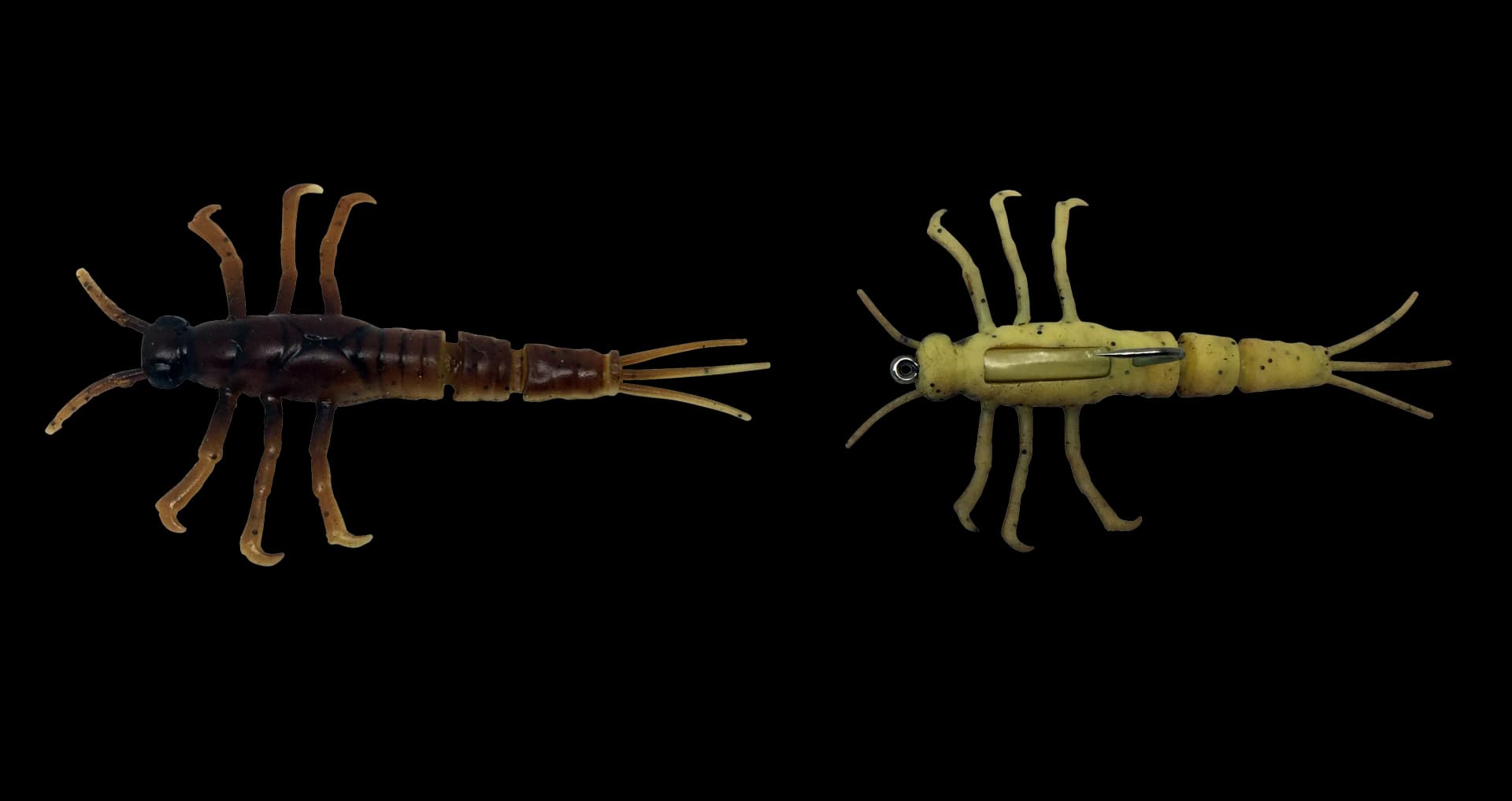 Mayfly, Lifespan, Insect, Ephemeroptera, Emergence PNG