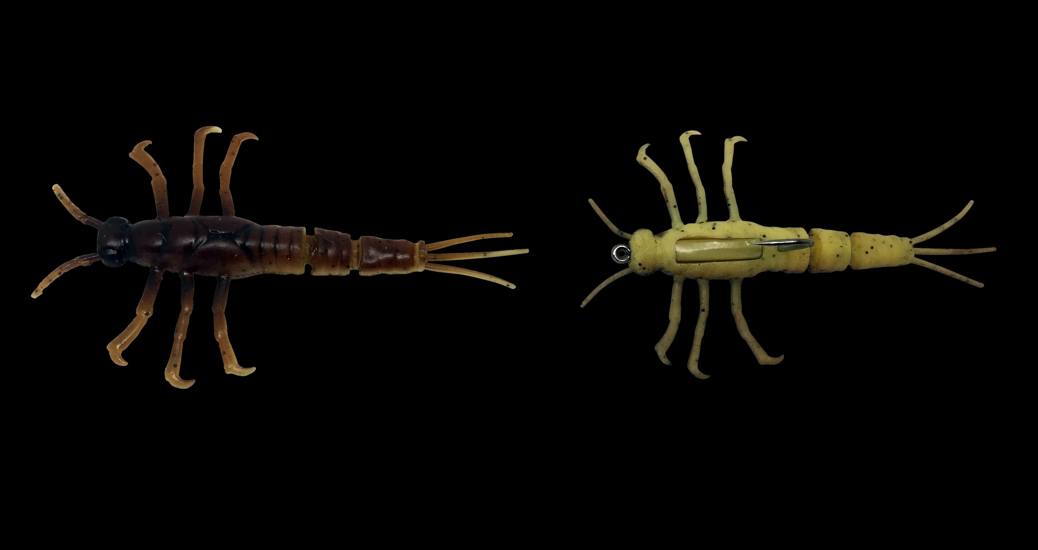 Mayfly-Transparent-Background