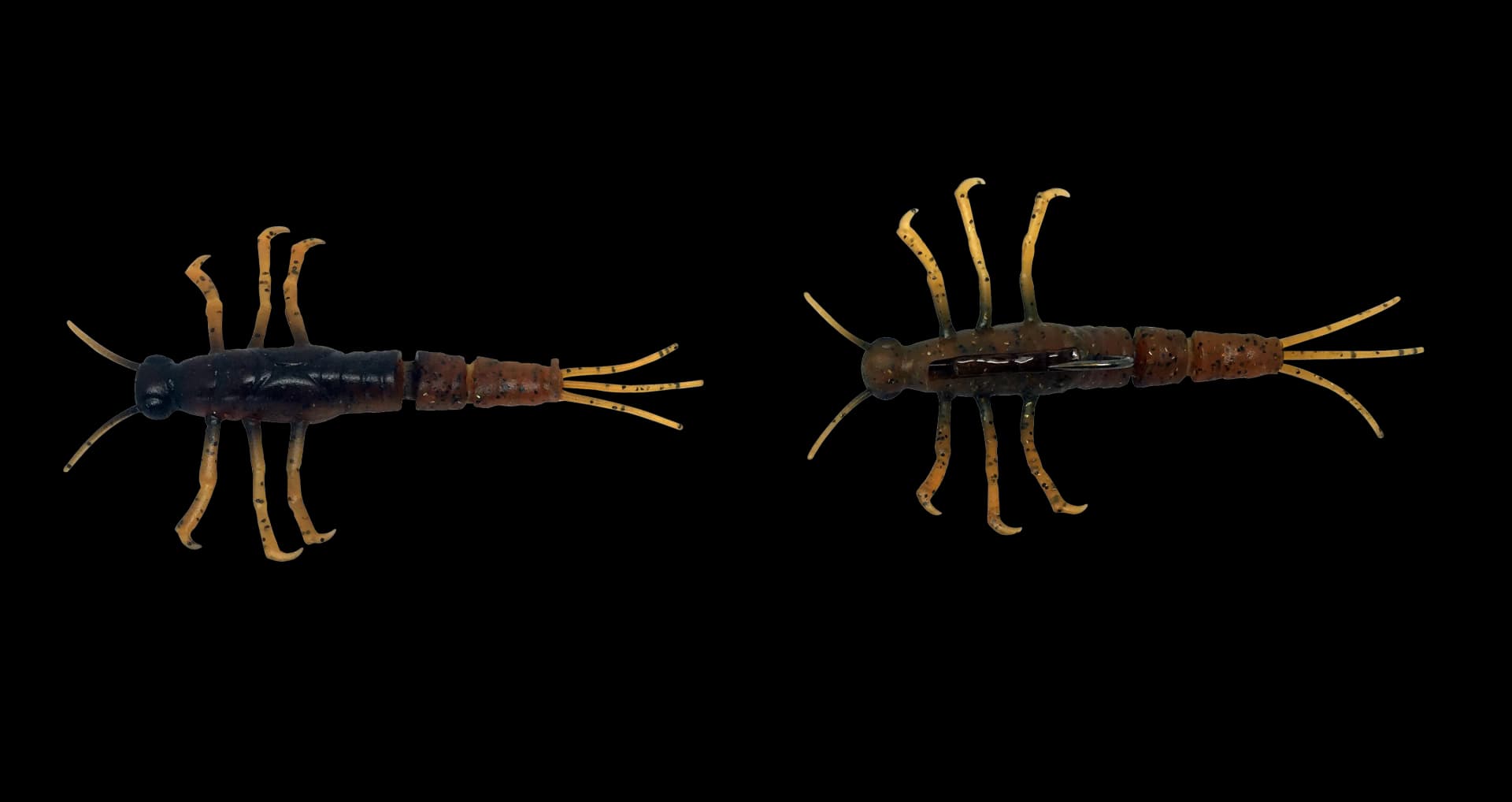 Mayfly, Aquatic, Lifecycle, Insect, Ecosystem PNG