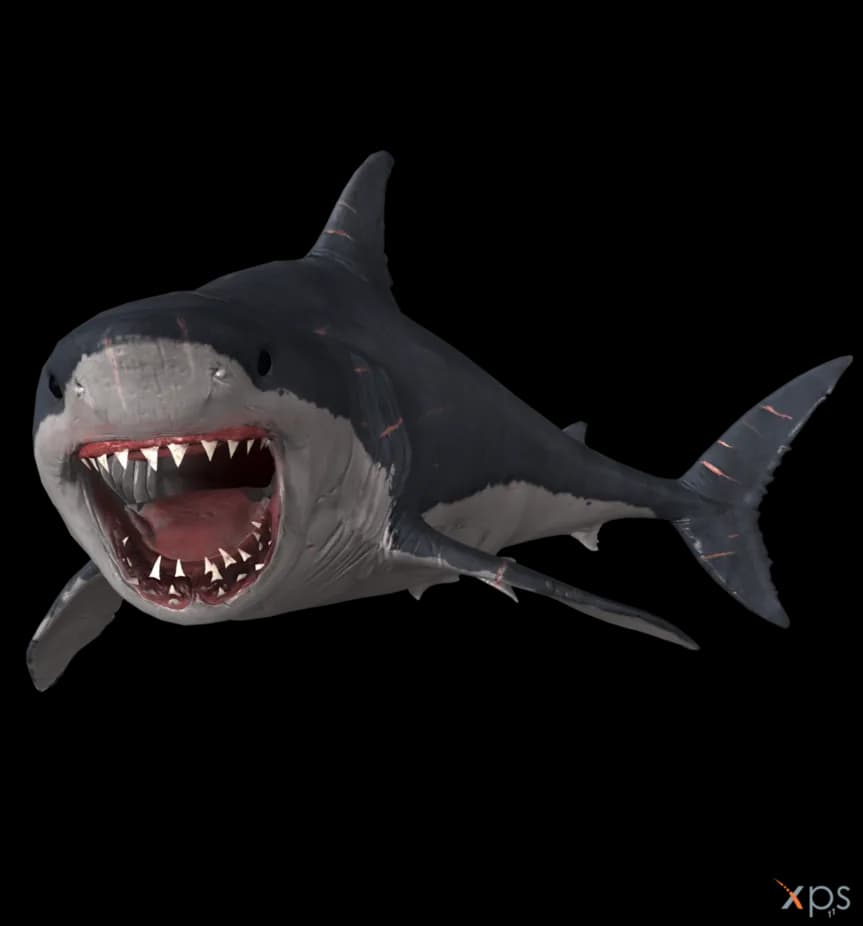 Megalodon-PNG-Photo