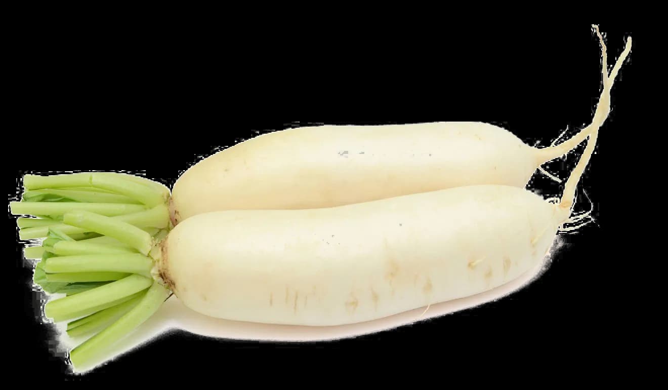 Mooli, Salad, Vegetable, Fresh, Flavorful PNG