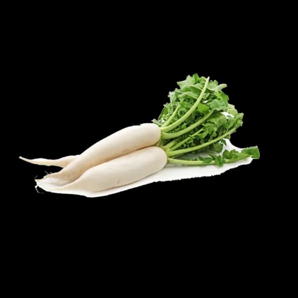 Mooli-PNG-Transparent-Image