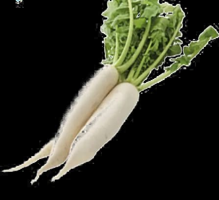 Mooli-Transparent-PNG