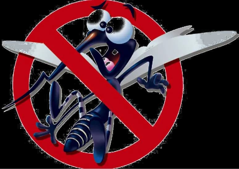 Mosquito-PNG-Clipart