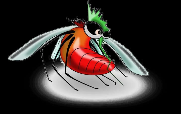 Mosquito-PNG-Pic