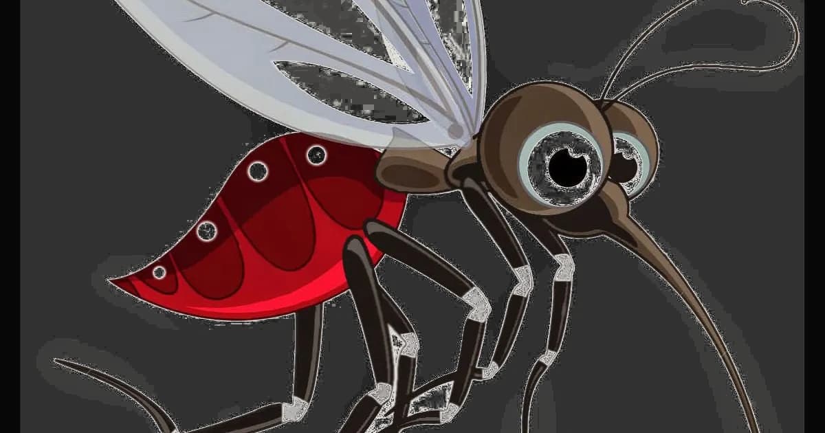 Mosquito-PNG-Transparent-Picture