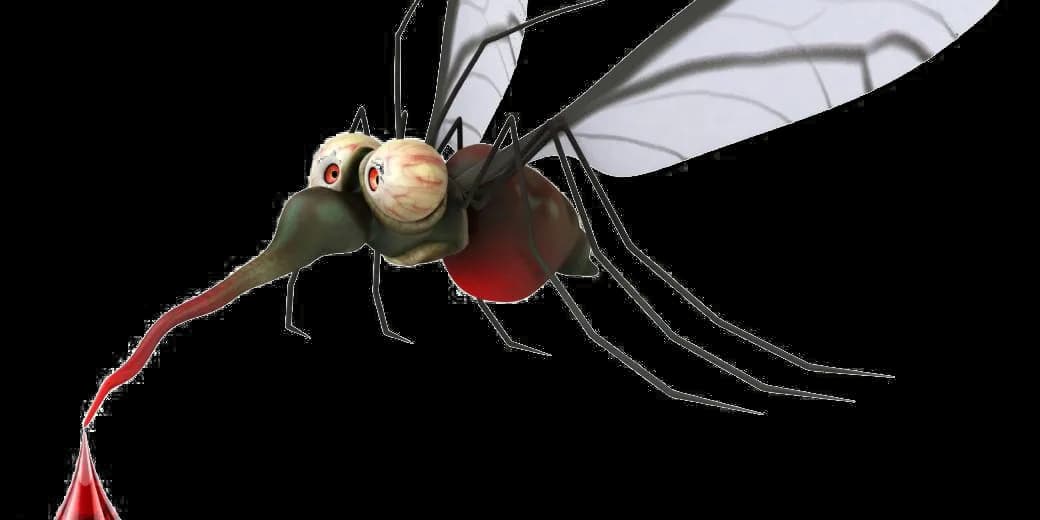 Mosquito-PNG-Transparent
