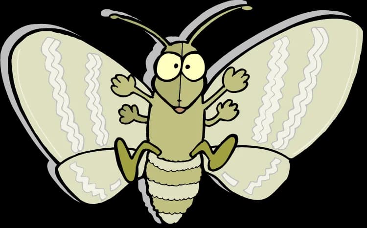 Moth-PNG-Picture