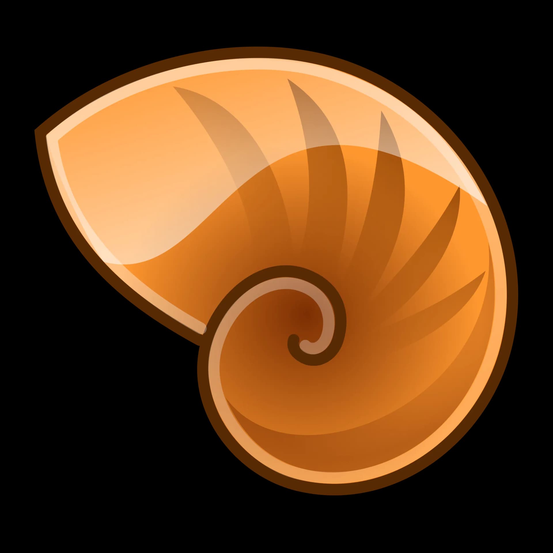 Nautilidae, Fossils, Nautilus, Shells, Creatures PNG