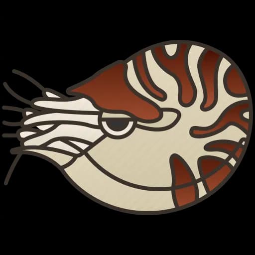 Nautilidae, Fossils, Shells, Marine, Cephalopods PNG