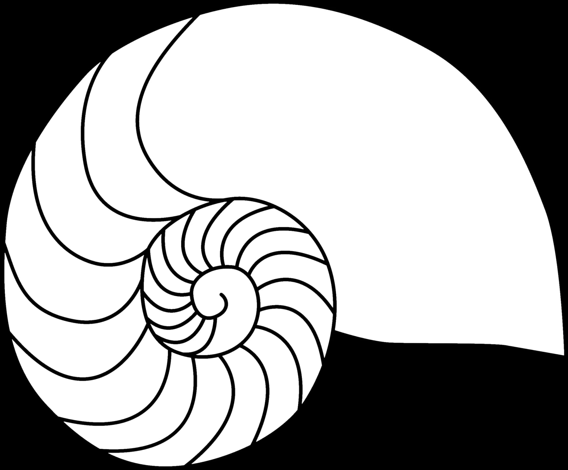 Nautilidae, Chambered, Ocean, Mollusk, Cephalopod PNG