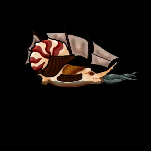 Nautiloid, Prehistoric, Fossil, Ocean, Invertebrate PNG