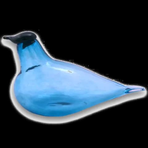 Ocean Birds, Avian Species, Coastal Wildlife, Oceanic Habitats, Birdwatching PNG