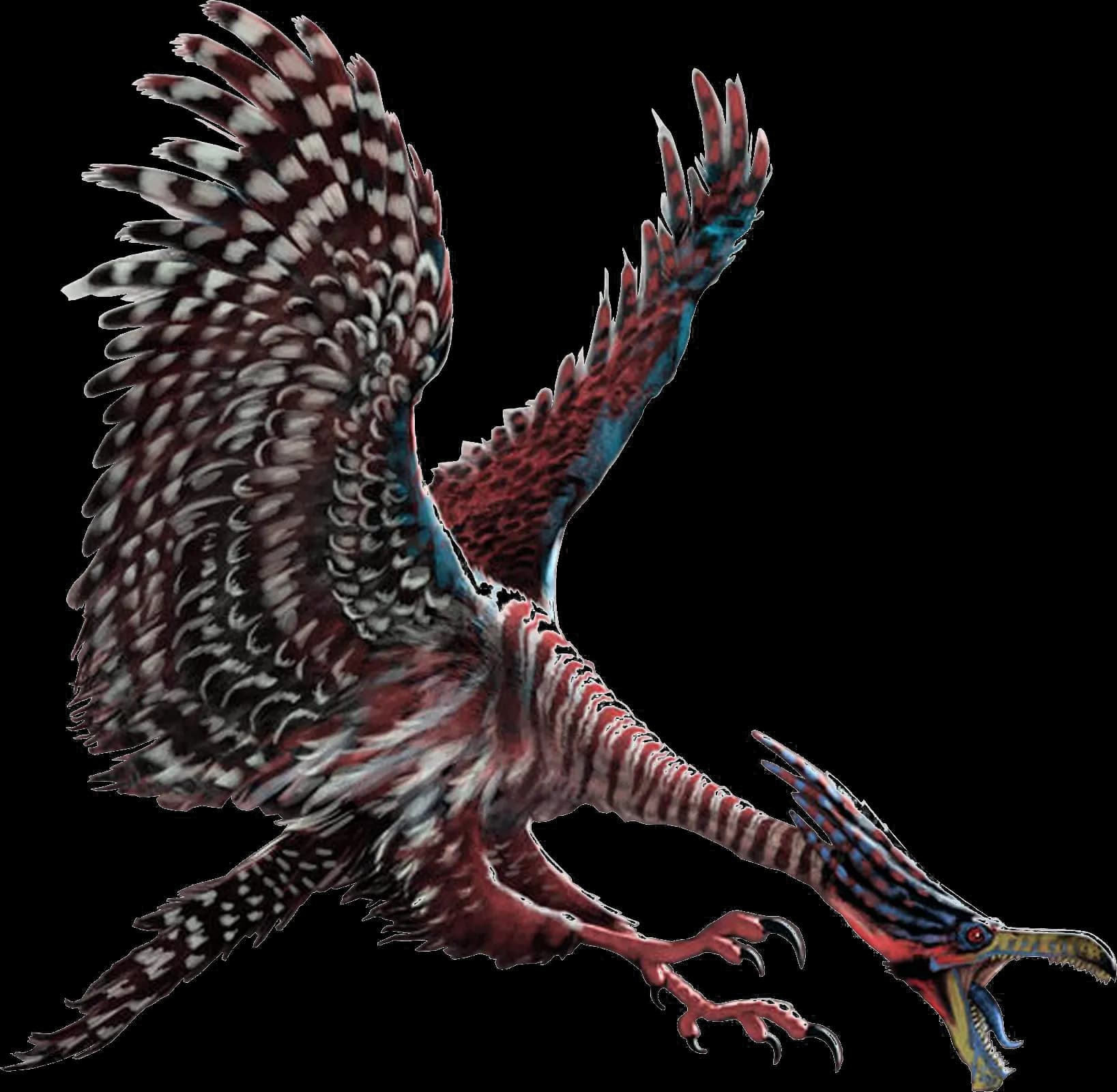 Ocean-Birds-PNG-Transparent