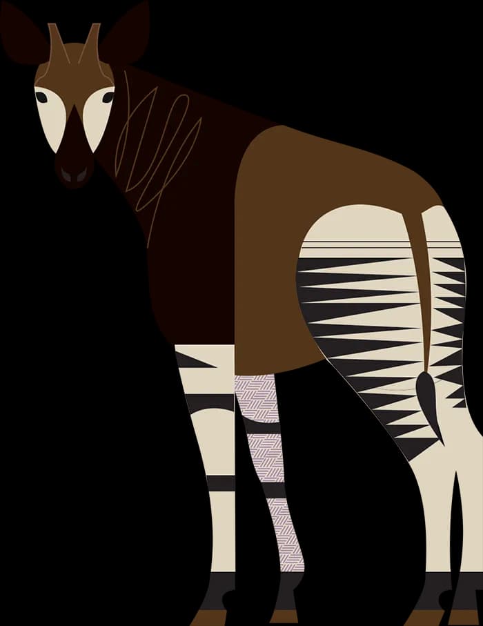Okapis-PNG-File