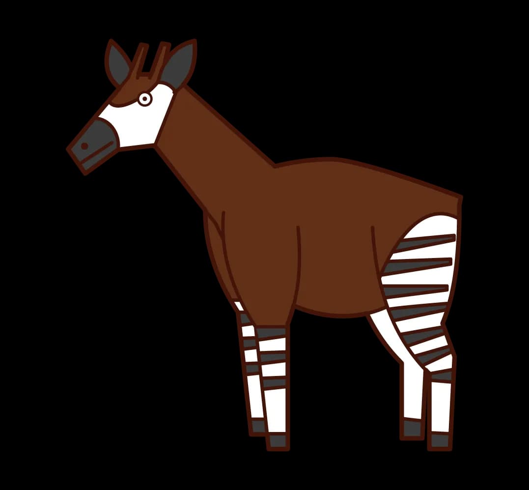 Okapis, Long Necked, Herbivorous Animals, Unique Mammals, Congo Wildlife PNG