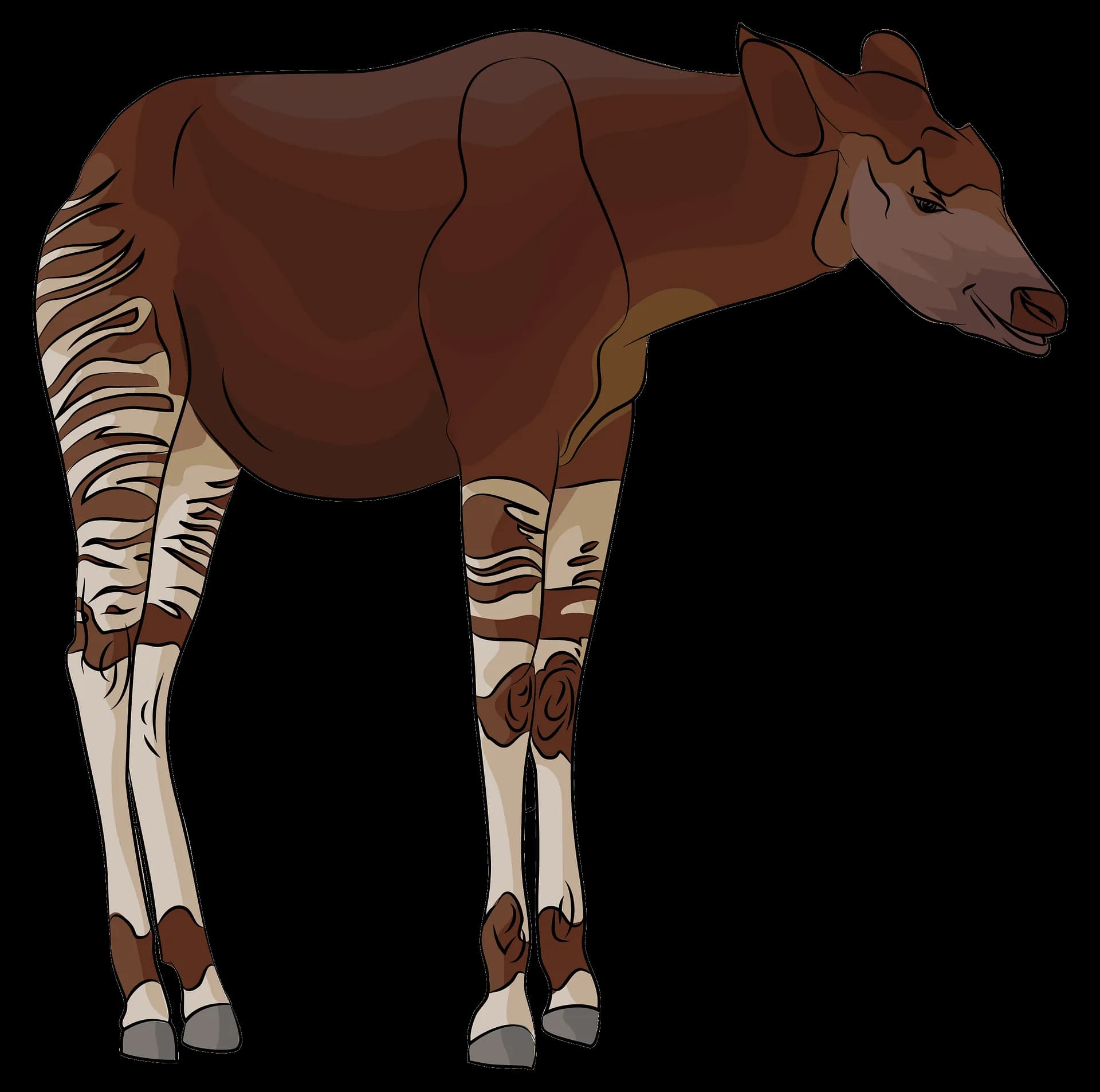 Okapis-PNG-Transparent