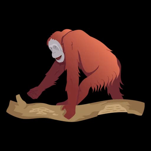 Orangutan-PNG-Photos