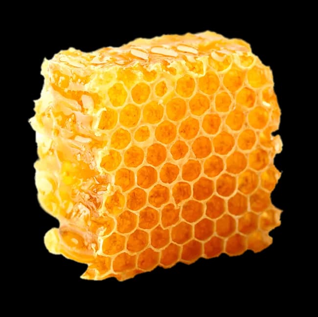 Organic-Honeycomb-Transparent-PNG